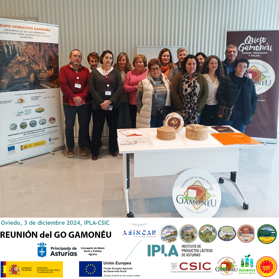 Reunión para el seguimiento del proyecto Go Gamonéu