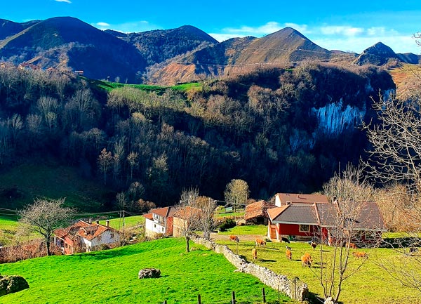 Gamonéu de Cangas, lugar de elaboración del gamonéu
