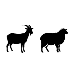 Icono de la reciella, cabra y oveja