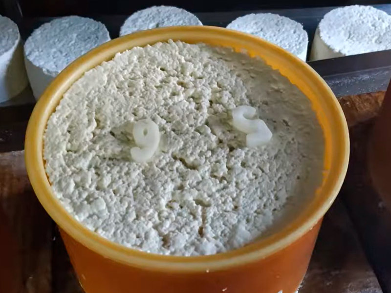 grano-queso-gamoneu