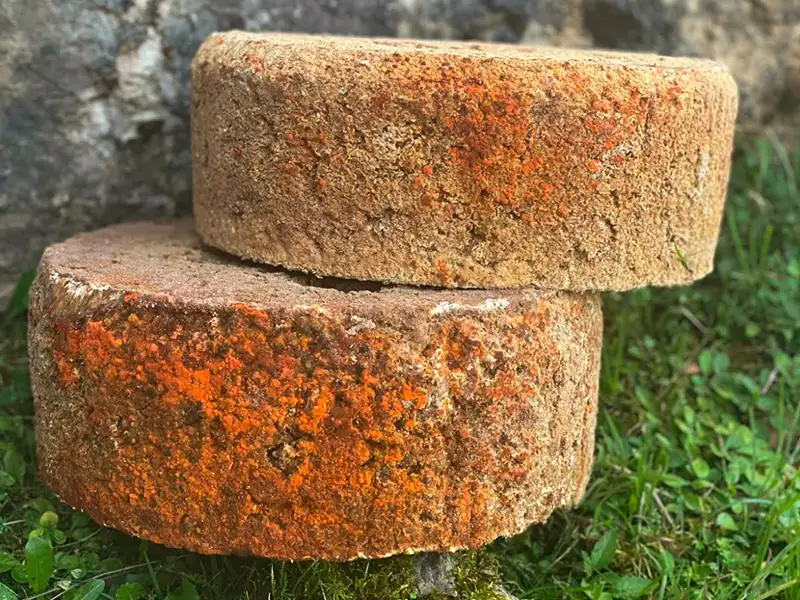 Dos quesos gamonéu de quesería La Torre