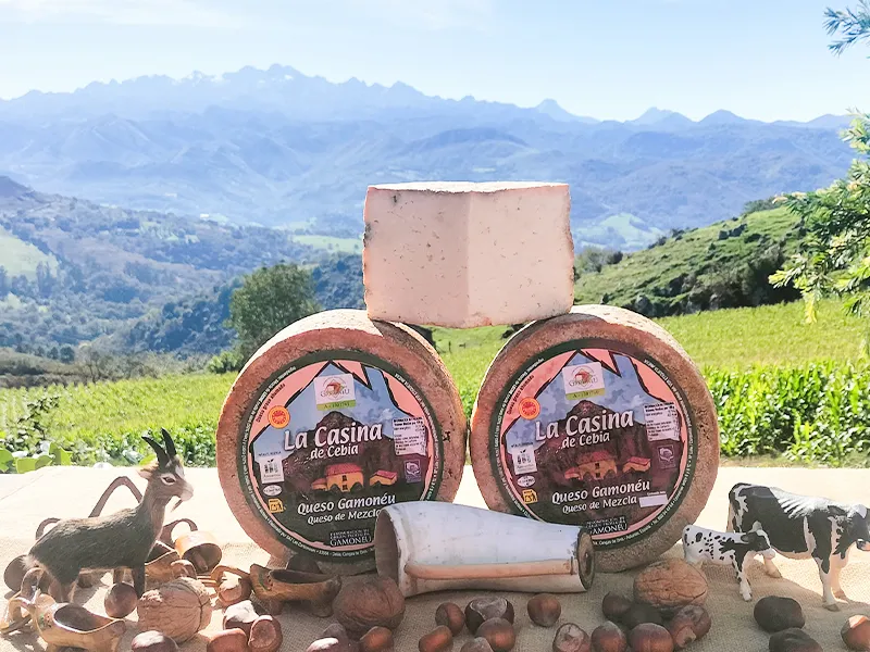 Dos quesos de La Casina de Cebia sobre mesa y fondo de paisaje