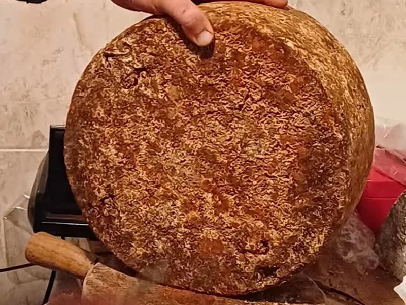 queso-priena-gamoneu