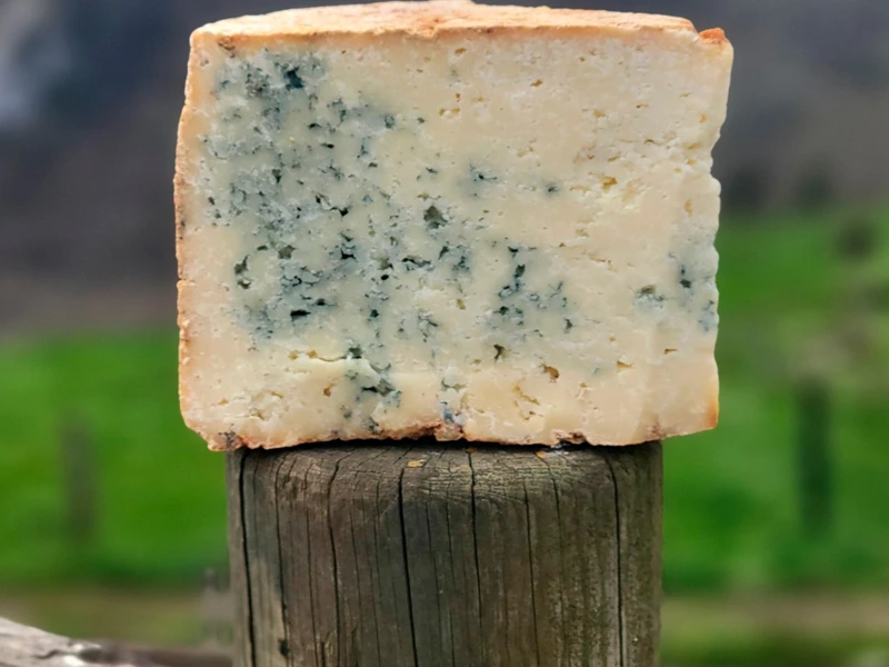 queso-vega-cenal